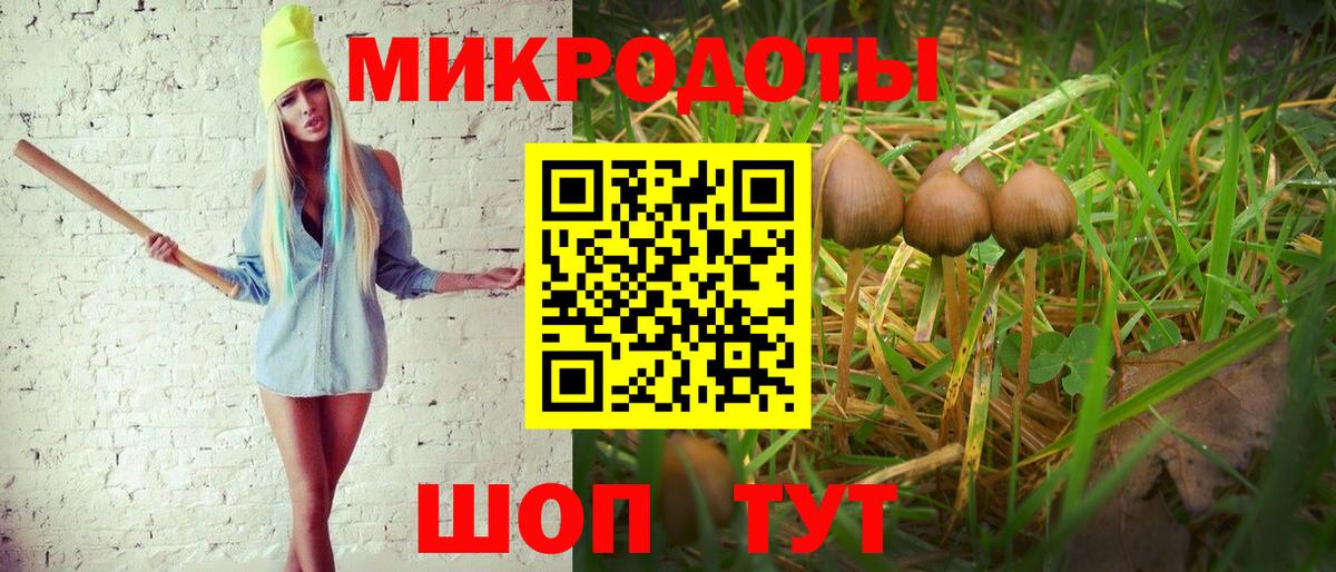 Псилоцибиновые грибы GOLDEN TEACHER  Вход с VPN  Курчалой 